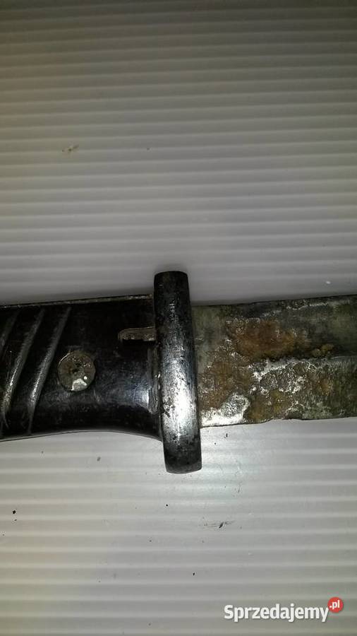 Bagnet Niemiecki Kolekcje Poznań