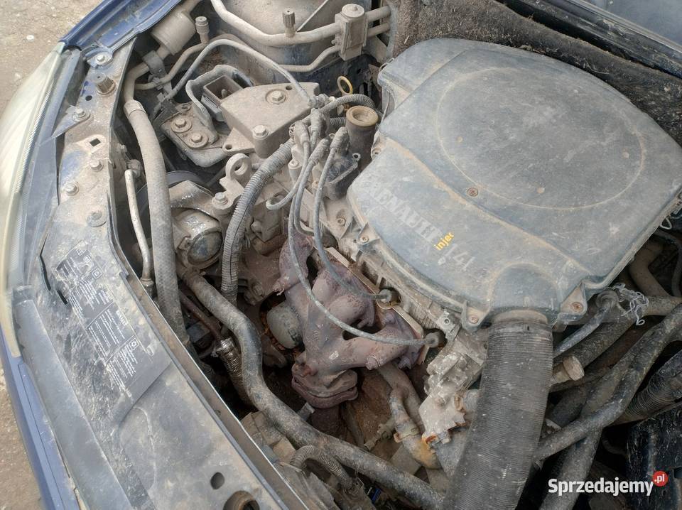 Renault Thalia I lift 14 B 2005r Lak DV460 Rok produkcji 2005 Elbląg sprzedam