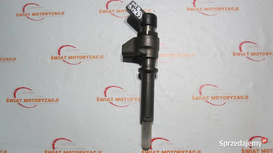 CITROEN PEUGEOT 20 HDI wtryskiwacz wtrysk osobowe Kielce