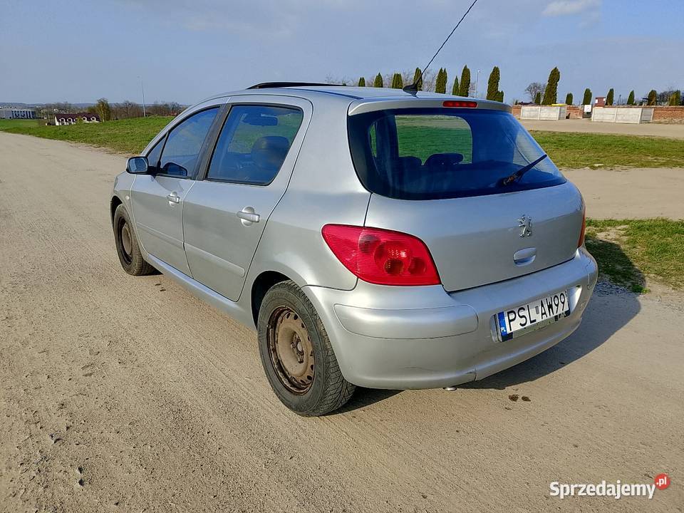 Peugeot 307 20 HDi Turek