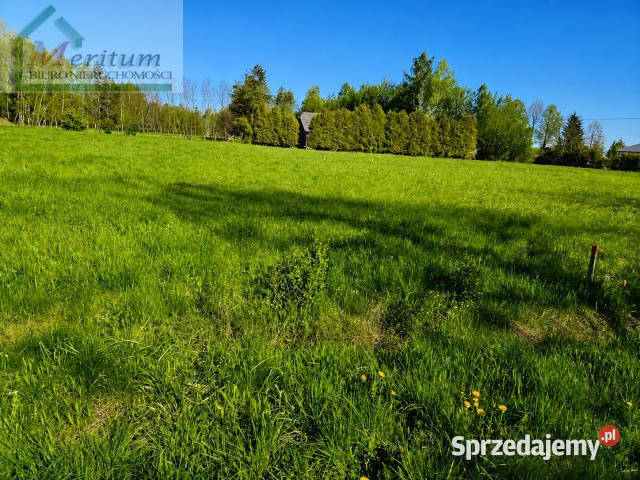 Grunt 1558m2 Zręcin
