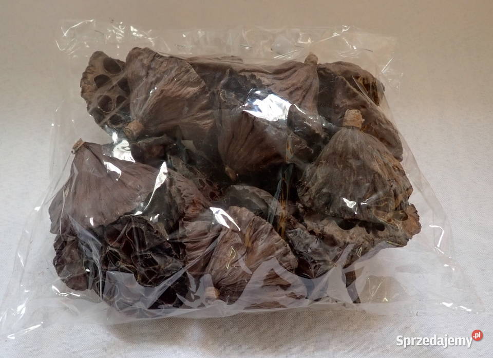 Kwiat Lotosu suszony naturalny Paczka 20 Siewierz sprzedam