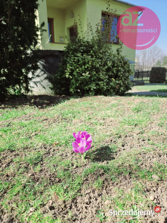 Dom jednorodzinny z suterenami i mieszkalny Lipinki