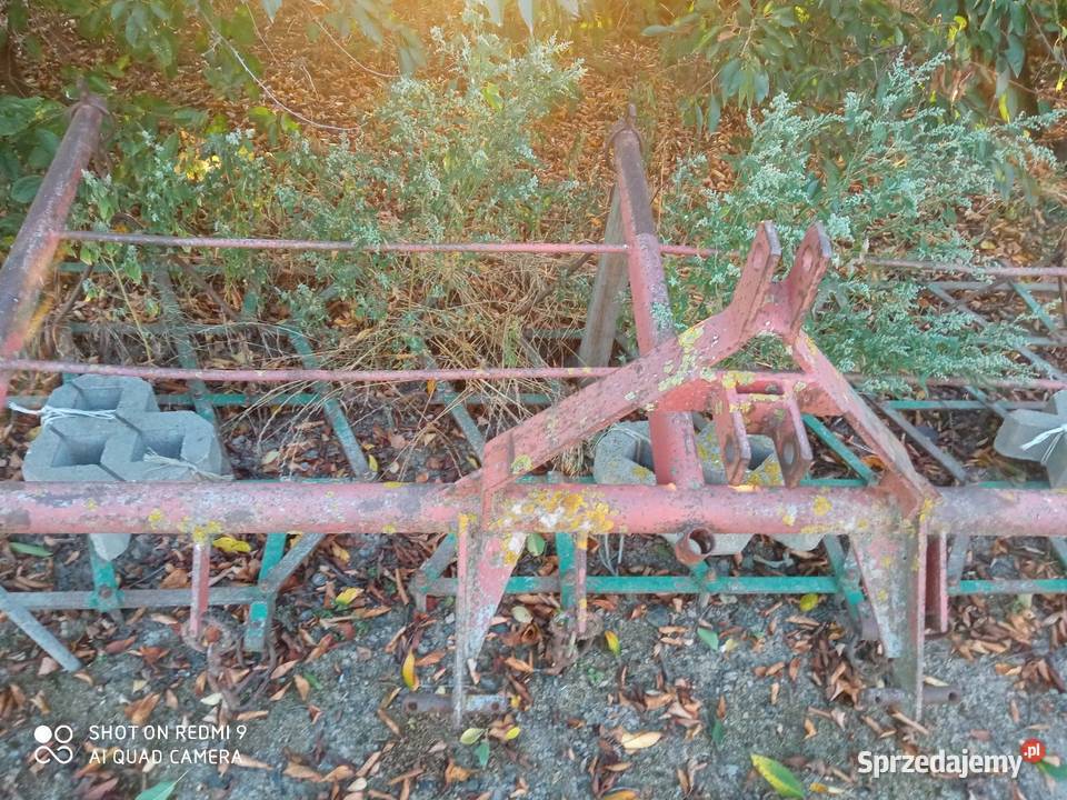 Brony polowe 5 Pozostałe Rolnictwo lubelskie Babin