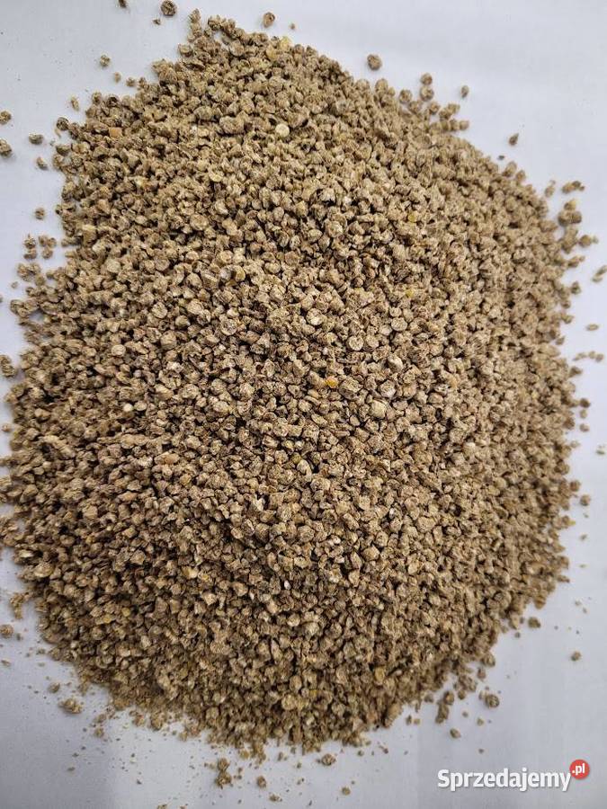 Pasza Kurczak 1 Piast 25 Idealny Start Twoich małopolskie Liszki