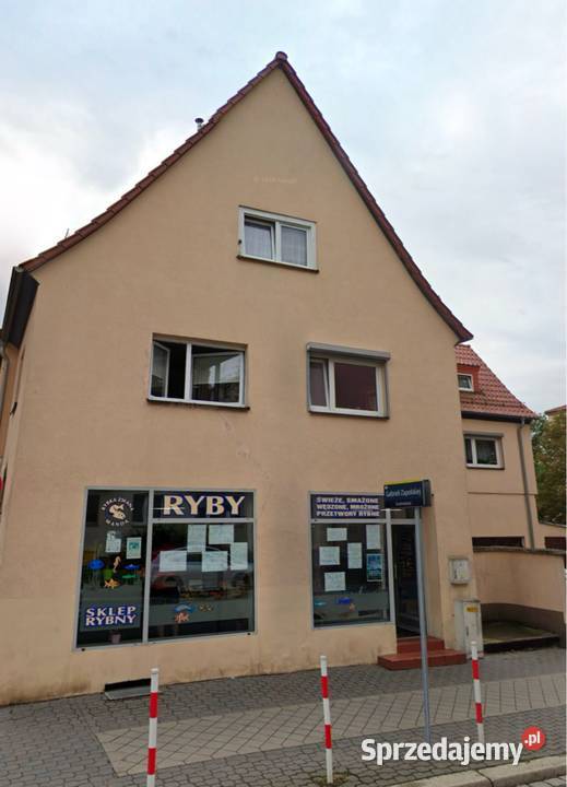 LOKAL 75m OPOLE 1MAJA DUŻE WITRYNY Wynajem sprzedam