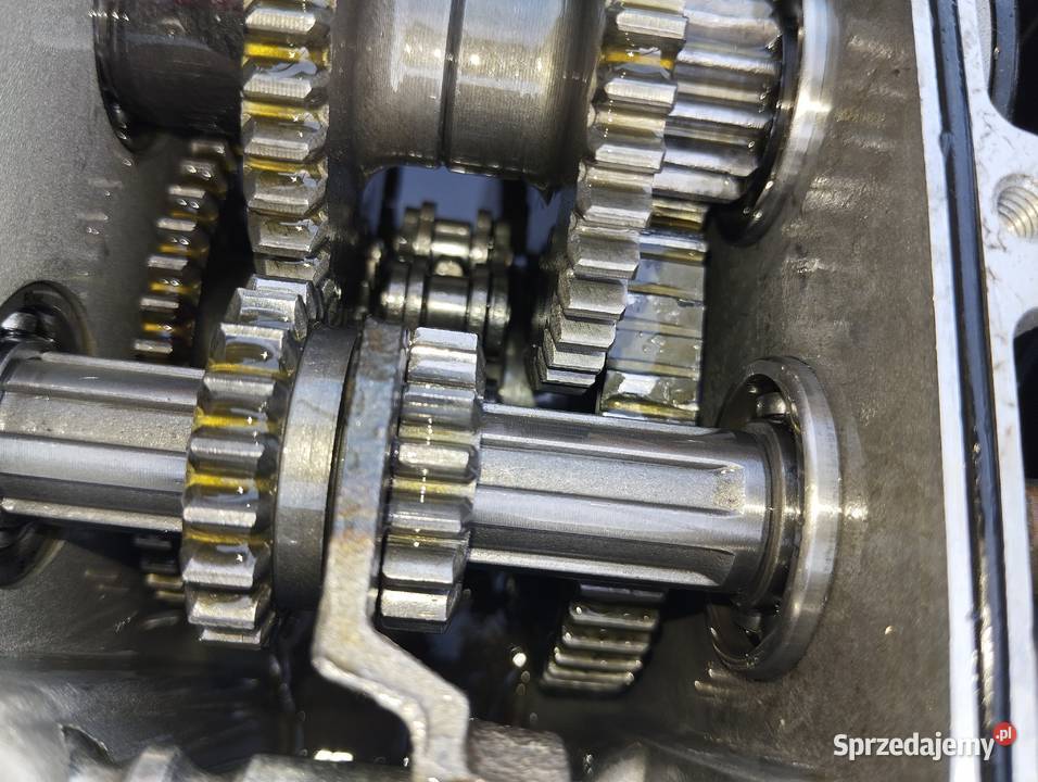 Glebogryzarka Bertolini 205 S sprzedam