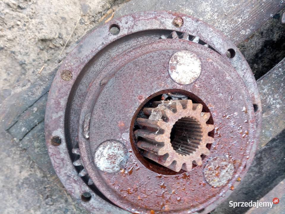 Zwolnica Pozostałe Korytnica