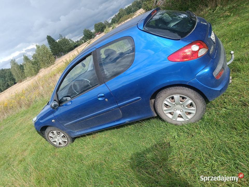 Sprzedam Peugeot 206 14 benyzna 206 plus Krasnystaw sprzedam