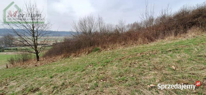 Grunt Łęki Strzyżowskie 1403m2 40zł/m2 sprzedam