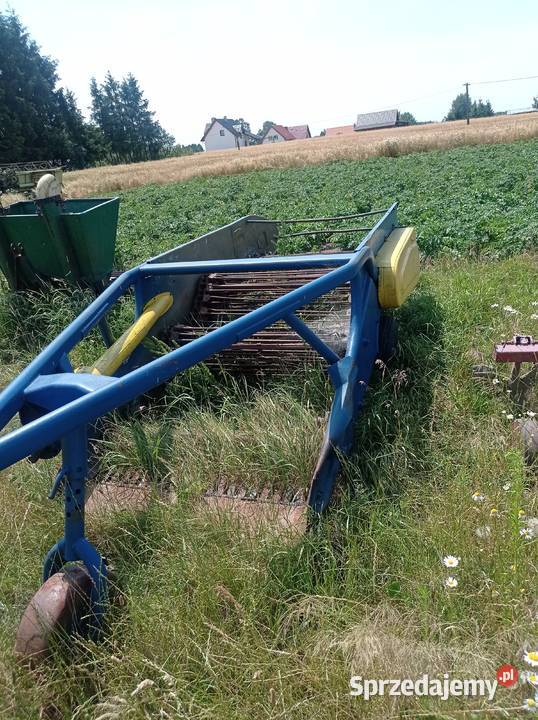 Kopaczka elewatorowa Maszyny rolnicze Małogoszcz sprzedam