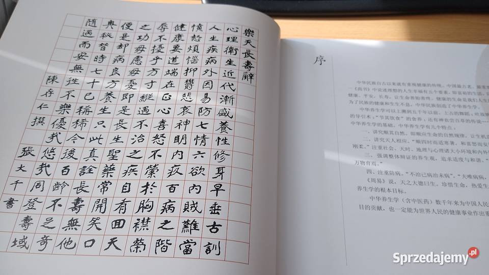 A canon of Chinese health regiments Ren Xiran Gdańsk