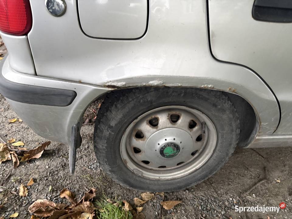 Skoda Felicja Waganiec