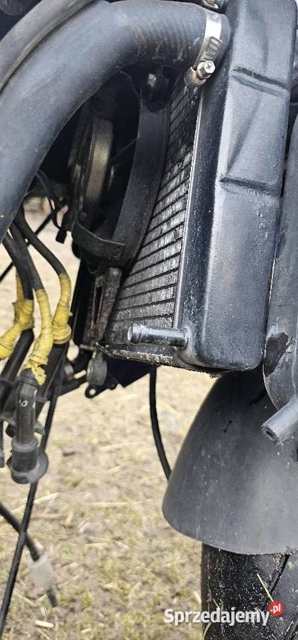 Yamaha YZF 600 Thundercat całość części Kroczów Mniejszy