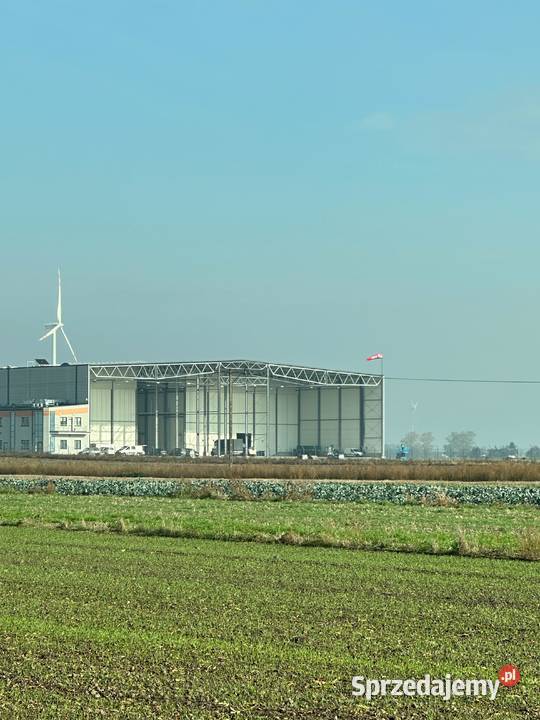 119 nadstawkę NOWA MROŹNIA Najniższe ceny Dobrzyń nad Wisłą