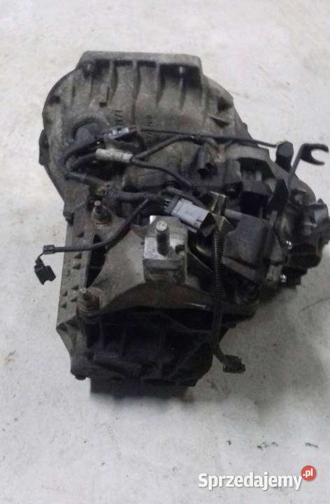 Skrzynia Biegów 5 Ford Focus Mk1 Diesel skrzynie biegów Lisów sprzedam