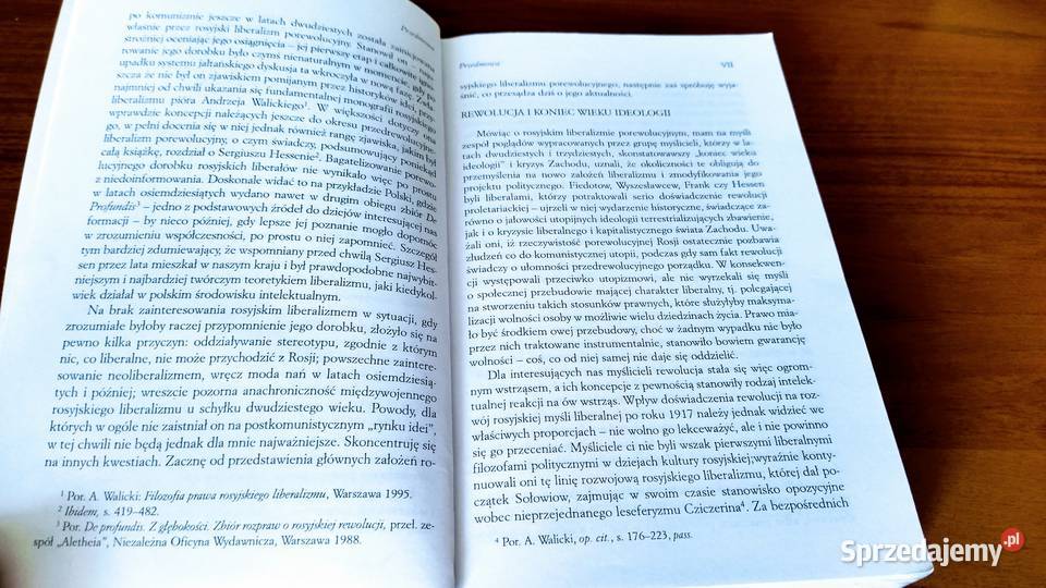 Państwo prawa i socjalizm Sergiusz Hessen