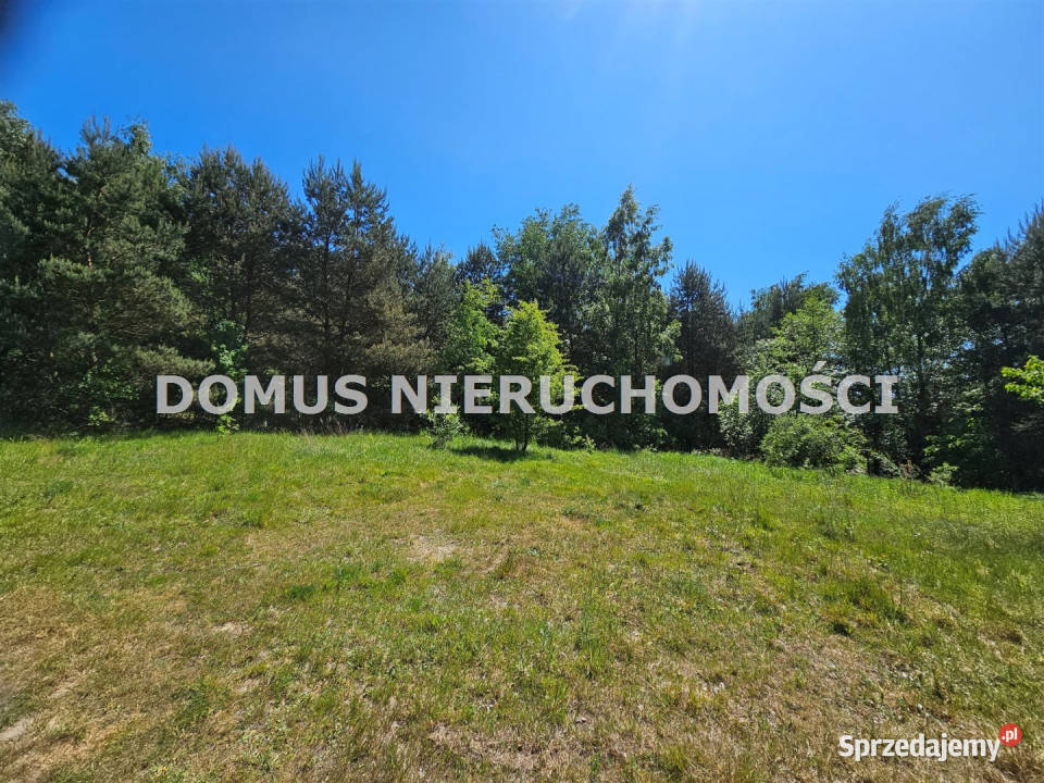 Działka 22000m2 Brzeziny 110zł/m2 Sprzedaż łódzkie