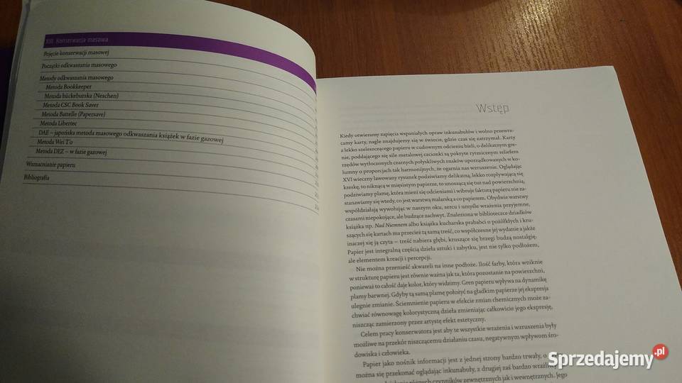 Konserwacja papieru zagadnienia chemiczne ISBN 9788370097479 pomorskie Gdańsk