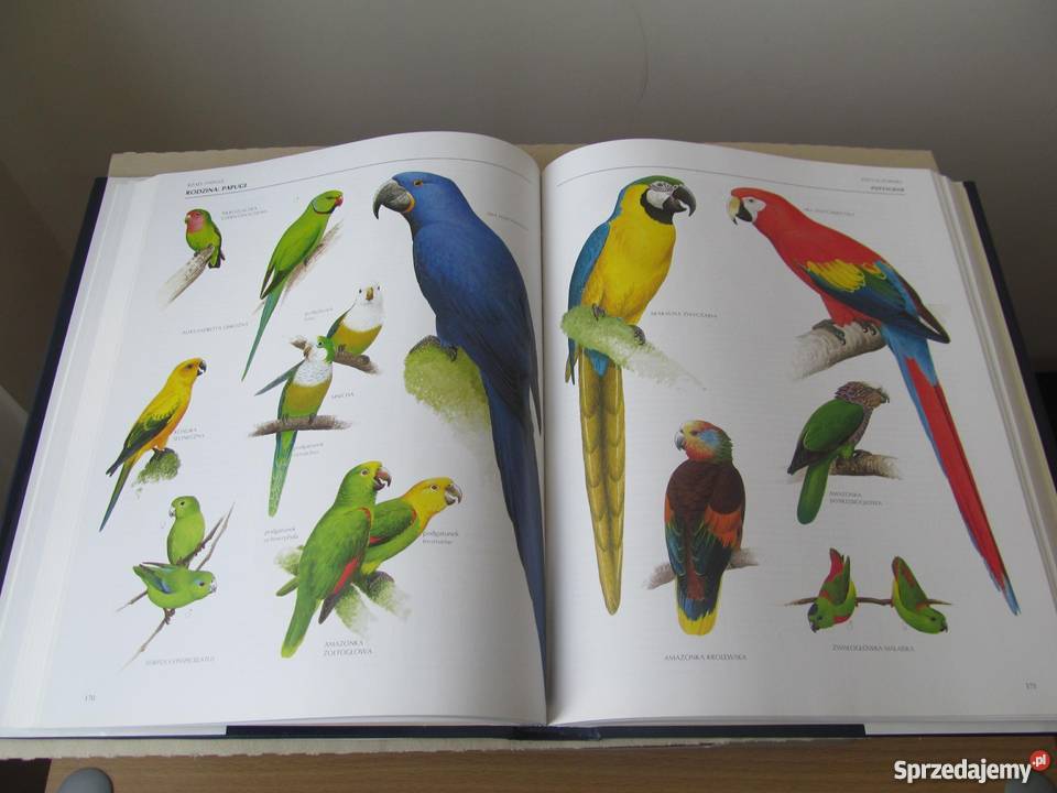 WIELKA ENCYKLOPEDIA PTAKÓW Perrins ChM Zielona Góra