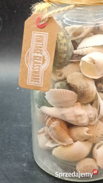 Szklany słój z muszelkami dekoracja Zamość