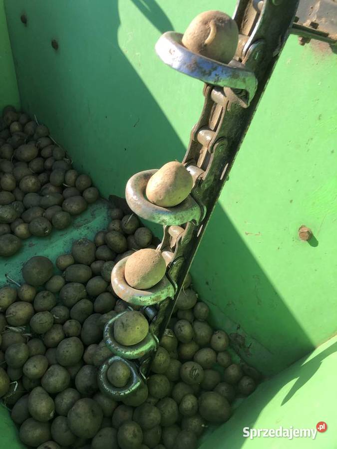 Sadzarka ziemniakow BOMET Tłuszcz