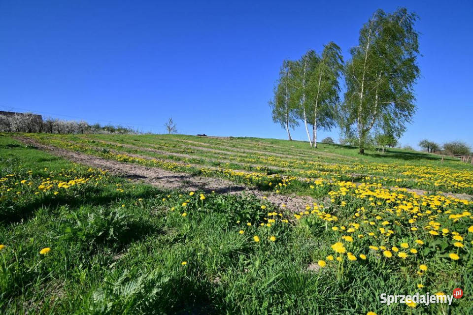 Karczmiska I 12 Kazimierza Dolnego Karczmiska Pierwsze