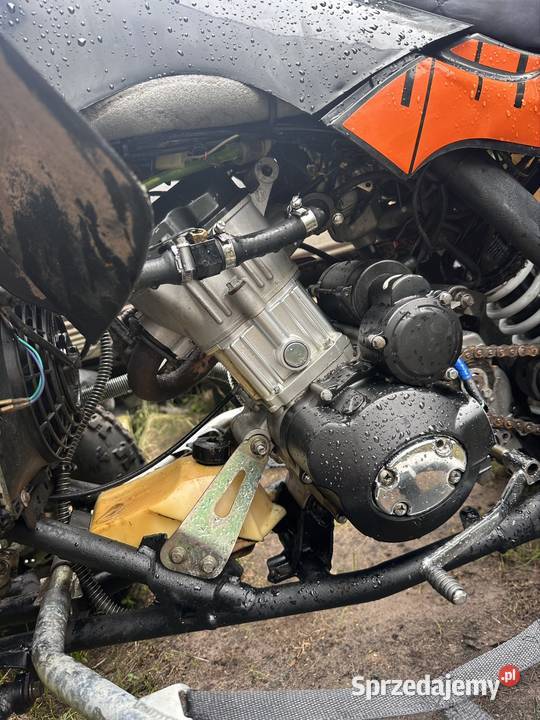Quad EGL 250 ZAREJESTROWANY Warnowo sprzedam