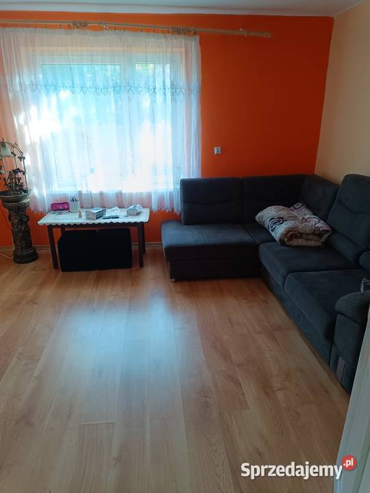 Dom na dużej działce z małym laskiem internet Lelów