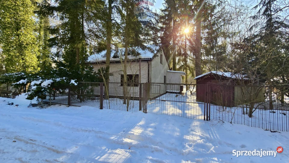 Działka zabudowana Zalesie Górne Kwiat Paproci Sprzedaż sprzedam