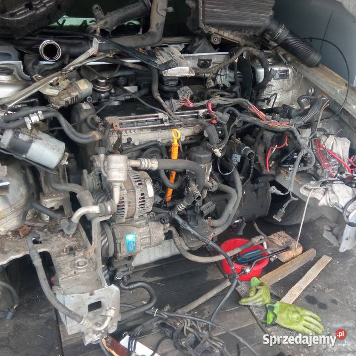 Silnik VW golf 4 19 TDI 101 Axr na części Silniki kompletne Szczecin