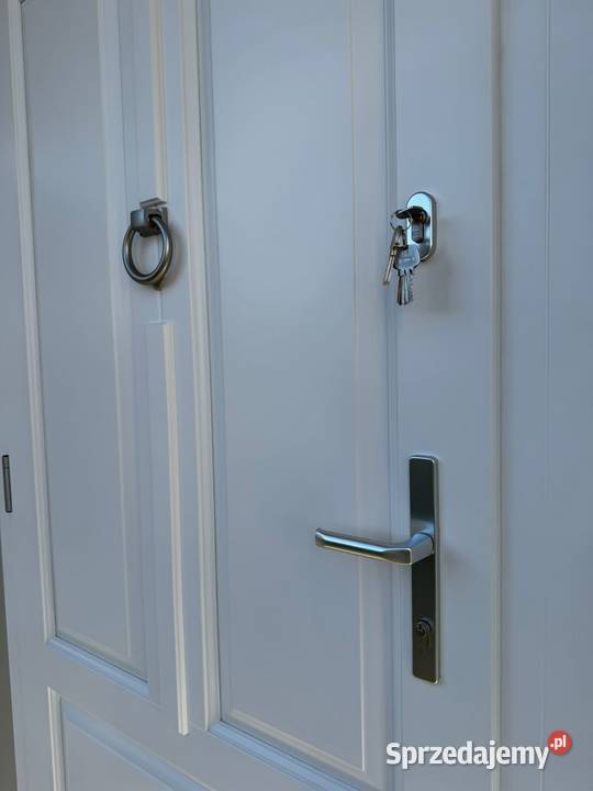 Drzwi Classic 4 jednoskrzydłowe z naświetlami Raba Niżna