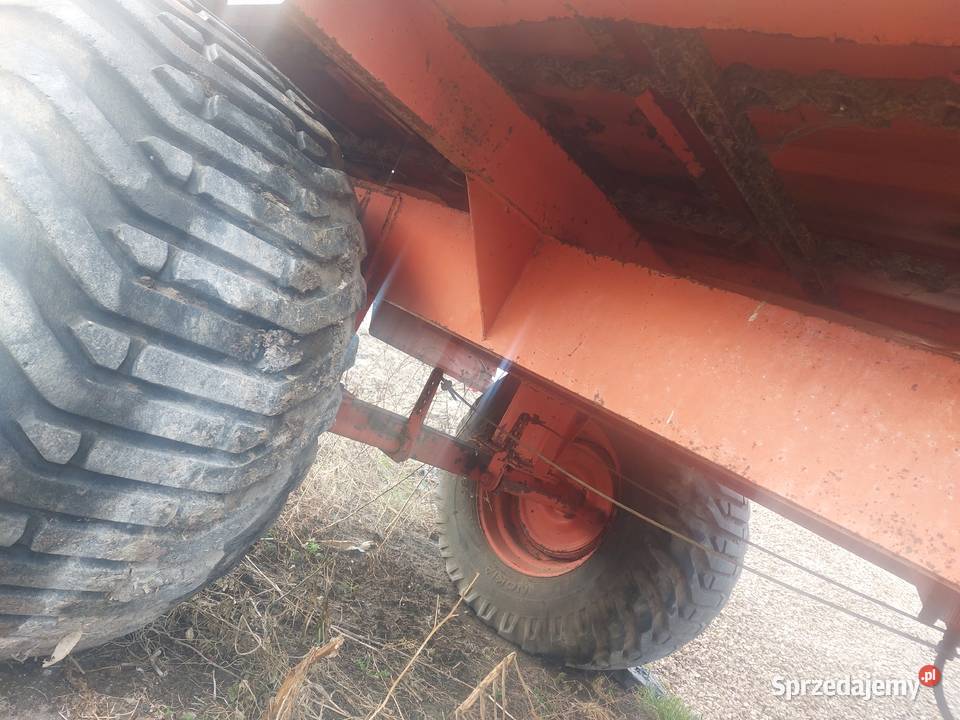 Rozrzutnik Brohard Wodzisław