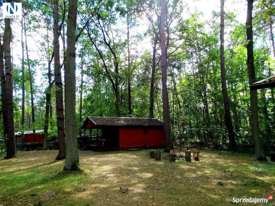 dom wolnostojący 42m2 Sieraków 42m2 Sieraków