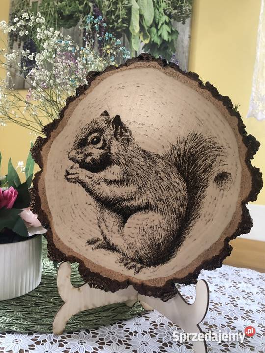 Obrazek na drewnie wiewiórka grafika wypalana Strzyżów