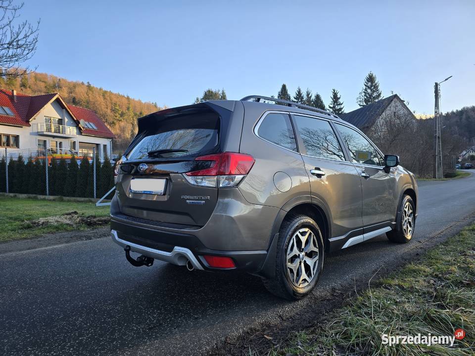 Forester 20 Eboxer hybryda Forester Kowary