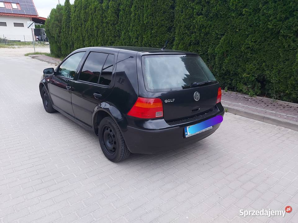 Volkswagen Golf 4 14 16v Rok produkcji 1999 Golf Nysa