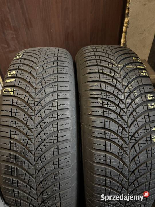 Opony całoroczne 21565 17 całoroczne Antonin