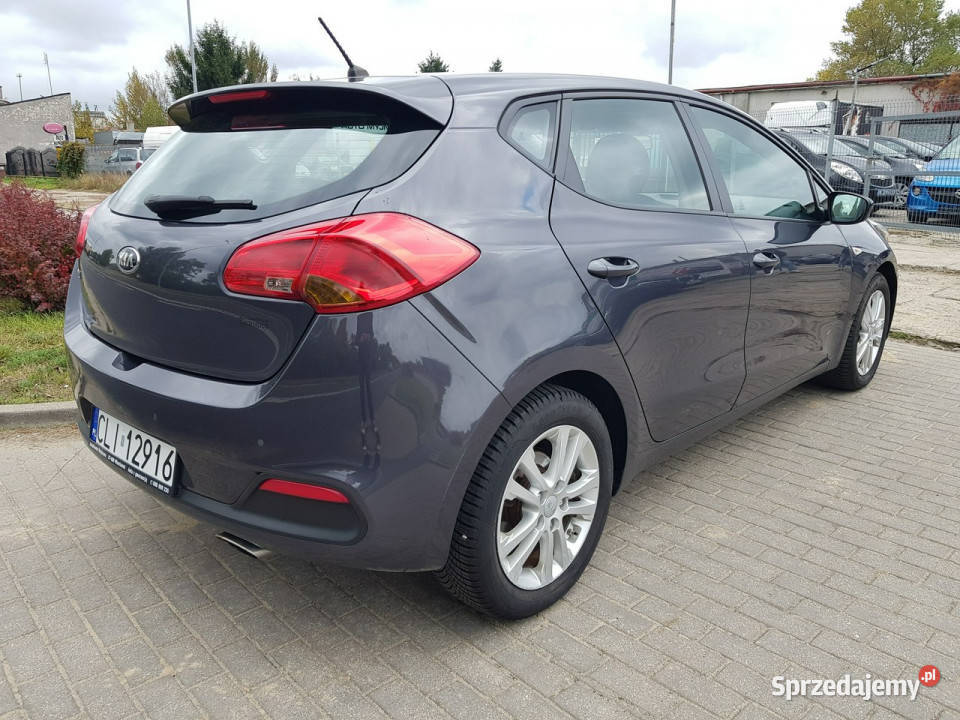 Kia Ceed 14 Benzyna Klima Zarejestrowany Włocławek