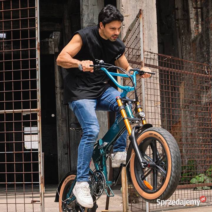 FIIDO M1 PRO 2025 retro składany fat 250W 55Nm Rowery elektryczne Tarnobrzeg