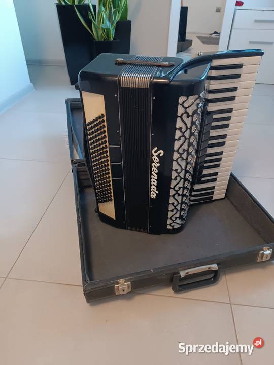 Akordeon serenada 120 basów Pozostałe Dębica