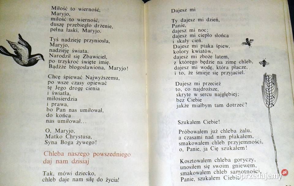 Ojcze nasz Anne dArcy lubelskie Chełm