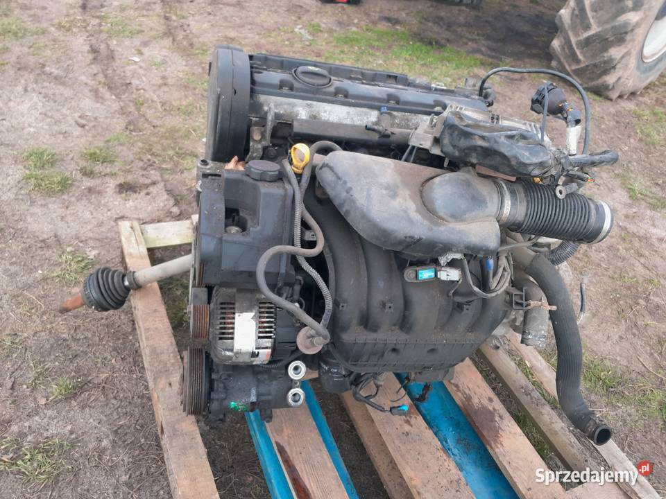 Xsara picasso 18 silnik