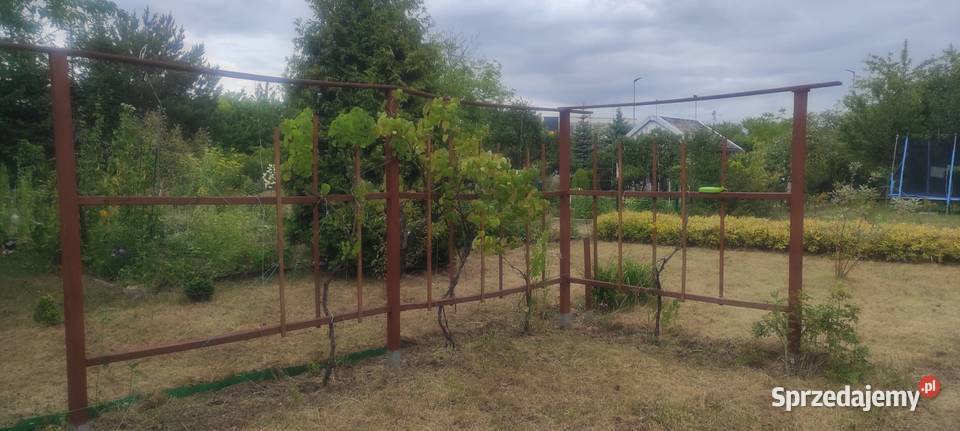 Ogródek działkowy ROD Jedność Wrocław