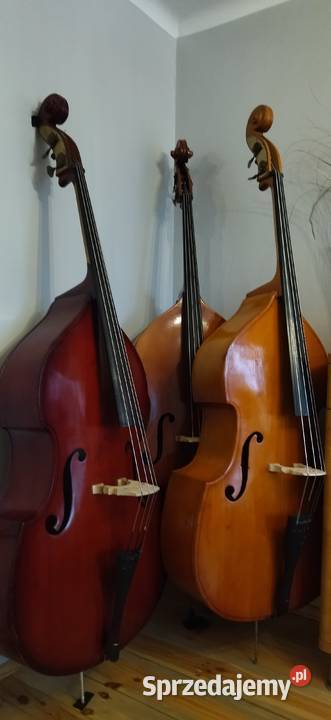 Kontrabas 44 Pyton z Filharmonii Lwowskiej Jędrzejów