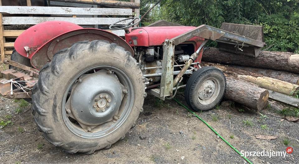 Massey Ferguson 35 Mojesz
