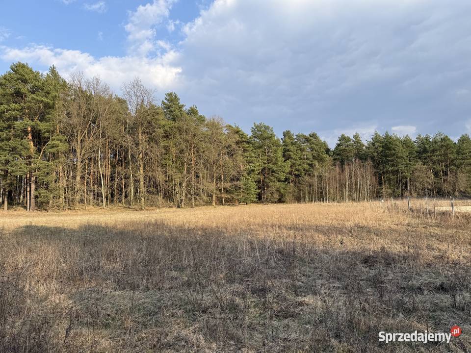 Piękna otoczona lasem działka 22a w Siodle 2200m2 Żary