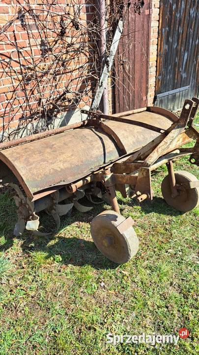 Glebogryzałka Unia Grudziądz 165 Cynków