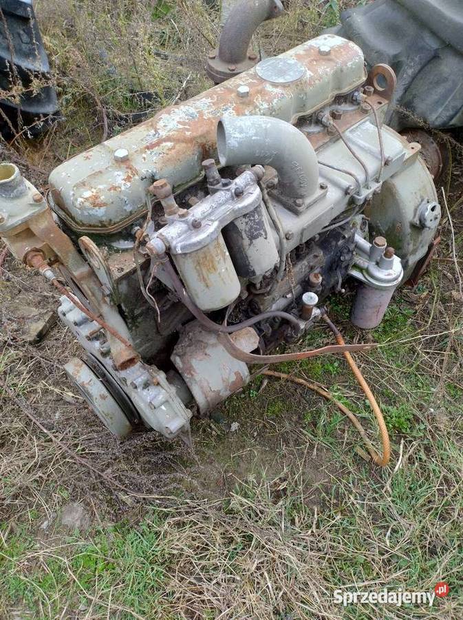 Silnik do bizona Przasnysz