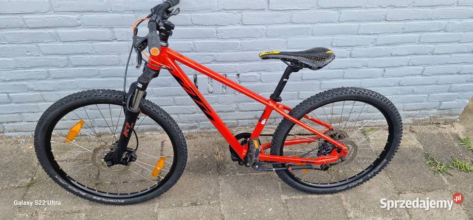Rower KTM 3 Krzewina